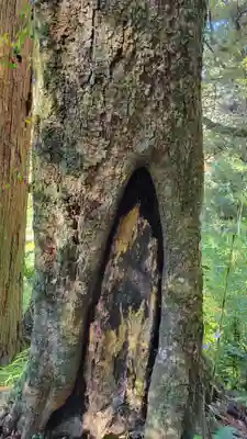 笠森寺(千葉県)