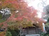 長勝寺の自然