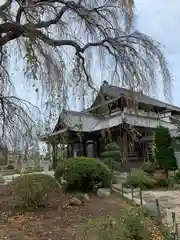 阿弥陀寺の本殿