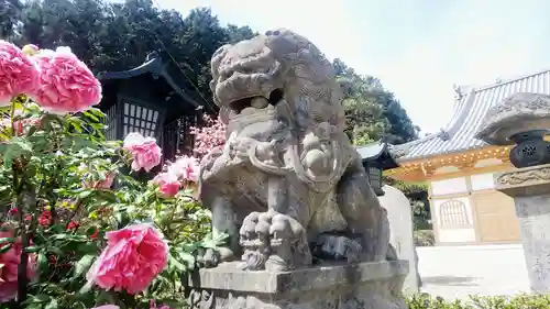 豊泉寺の狛犬