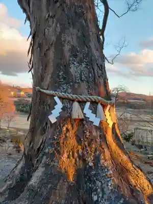 阿久津「田村神社」（郡山市阿久津町）旧社名：伊豆箱根三嶋三社(福島県)