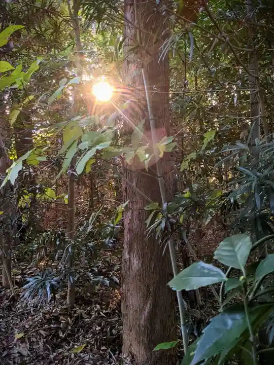 桜木神社(香川県)