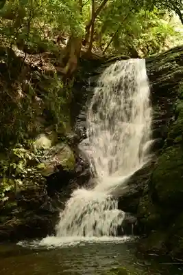 悲願寺(徳島県)