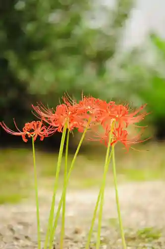 浄土寺(兵庫県)