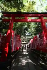 豊川稲荷東京別院の鳥居