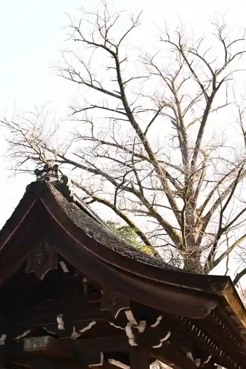 河合神社(鴨川合坐小社宅神社)(京都府)