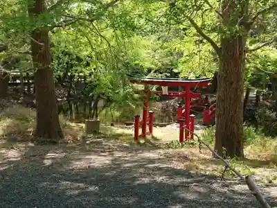 柏山稲荷神社の鳥居