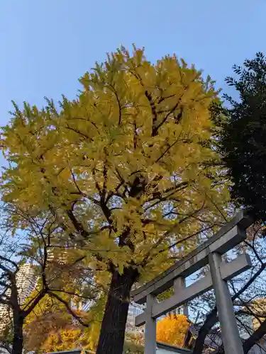 熊野神社の鳥居