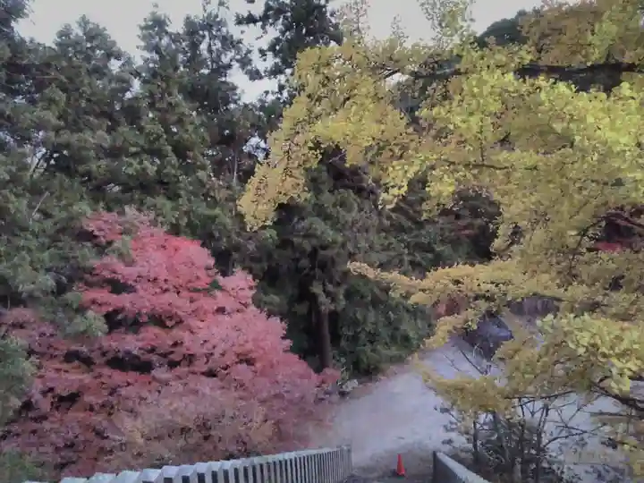 松尾山神社の自然