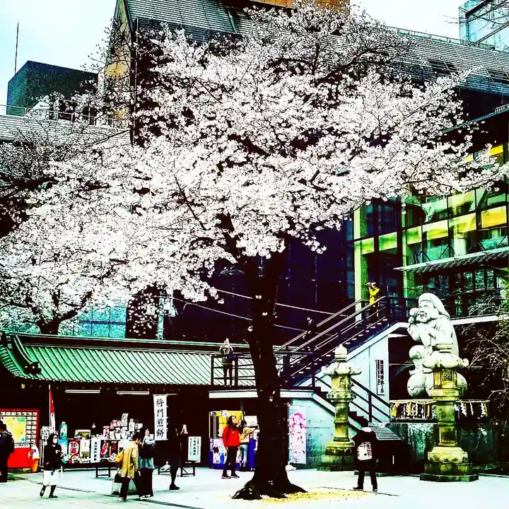 神田神社(神田明神)の自然