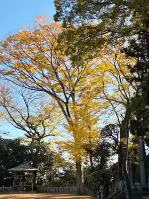 大生郷天満宮(茨城県)