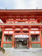 金泉寺の山門