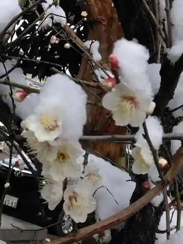 若宮八幡宮 (神奈川県)