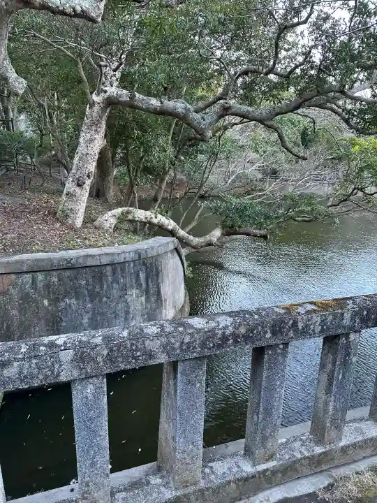 安房神社の{uncategorized: "未分類", other: "その他", undefined: "問題あり", building: "その他建物", grave: "お墓", sacred_gate: "鳥居", guardian: "狛犬", statue: "像", buddha: "仏像", history: "歴史", nature: "自然", garden: "庭園", animal: "動物", pagoda: "塔", temizu: "手水舎", mountain_gate: "山門・神門", sanctuary: "本殿・本堂", subordinate: "末社・摂社", art: "芸術", scenery: "景色", jizo: "地蔵", ema: "絵馬", goshuin: "御朱印", omikuji: "おみくじ", items: "授与品その他", amulet: "お守り", goshuincho: "御朱印帳", eats: "食事", festival: "お祭り", votive_dance: "神楽", shichigosan: "七五三参", wedding: "結婚式", experience: "体験その他", initially: "初詣", around: "周辺", anti_infection: "感染症対策"}
