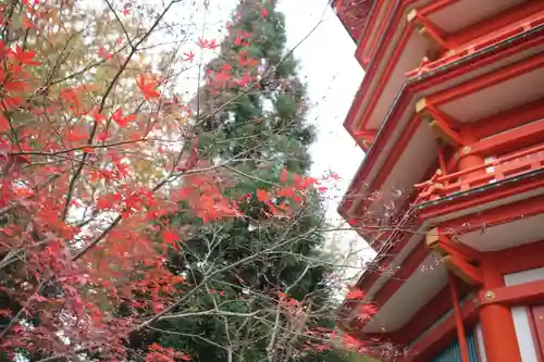 金乗院放光寺のその他建物