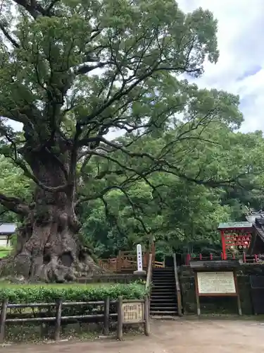 蒲生八幡神社の建物その他