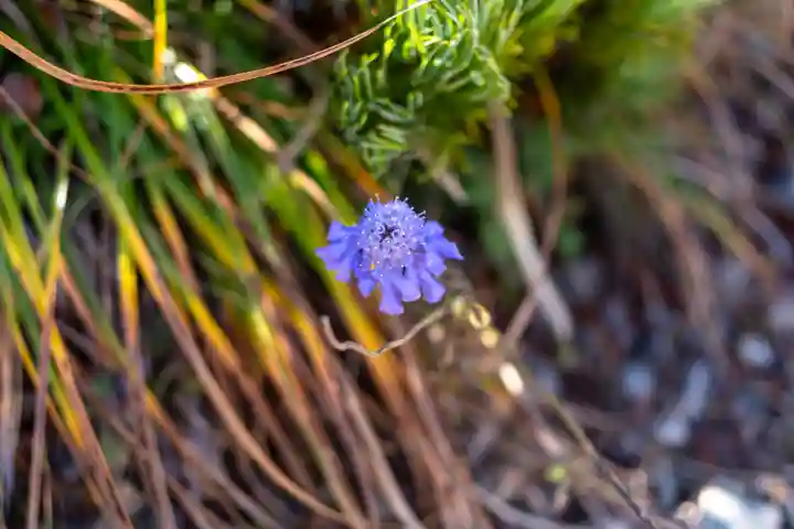 飯森神社奥社(長野県)