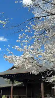 靖國神社(東京都)