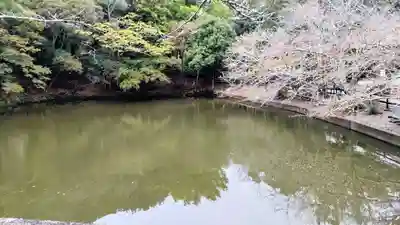 安房神社(千葉県)