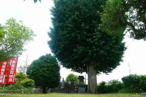 橋寺 放生院のその他建物