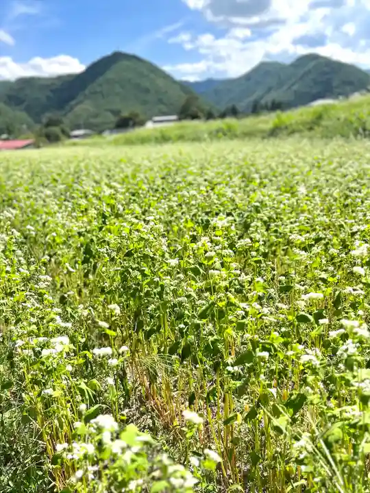 子檀嶺神社(長野県)