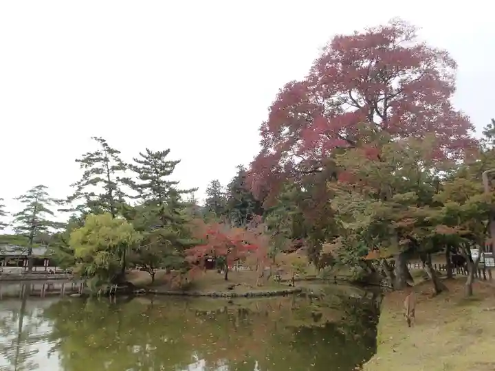 厳島神社(東大寺境内社)の庭園