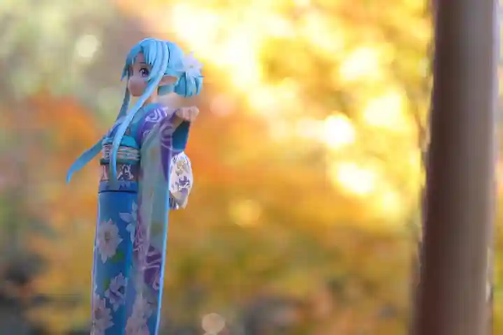 正寿院(京都府)