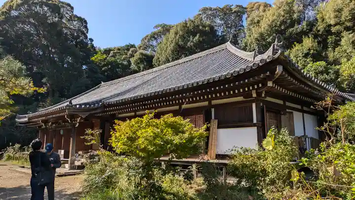 浄瑠璃寺(京都府)