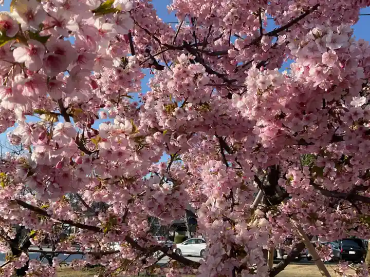 正眼寺(愛知県)