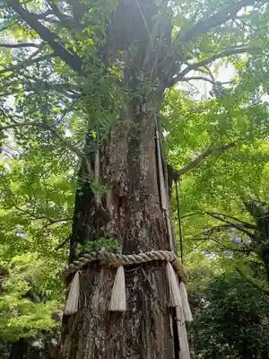 赤坂氷川神社(東京都)