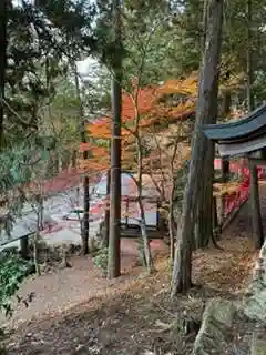 日枝神社(岐阜県)