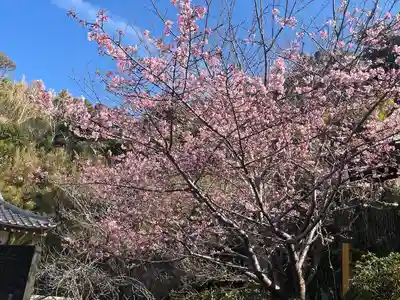 洲崎神社(千葉県)