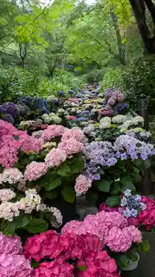 長谷寺(奈良県)