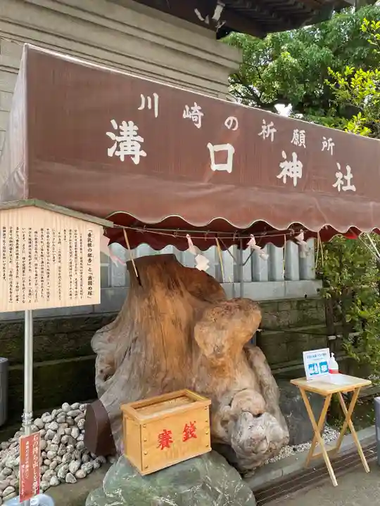溝口神社のその他建物