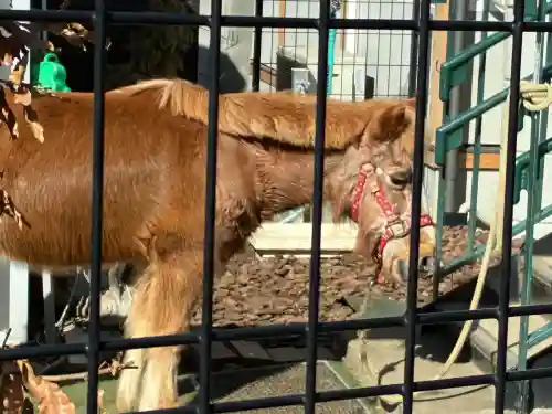五方山熊野神社の{uncategorized: "未分類", other: "その他", undefined: "問題あり", building: "その他建物", grave: "お墓", sacred_gate: "鳥居", guardian: "狛犬", statue: "像", buddha: "仏像", history: "歴史", nature: "自然", garden: "庭園", animal: "動物", pagoda: "塔", temizu: "手水舎", mountain_gate: "山門・神門", sanctuary: "本殿・本堂", subordinate: "末社・摂社", art: "芸術", scenery: "景色", jizo: "地蔵", ema: "絵馬", goshuin: "御朱印", omikuji: "おみくじ", items: "授与品その他", amulet: "お守り", goshuincho: "御朱印帳", eats: "食事", festival: "お祭り", votive_dance: "神楽", shichigosan: "七五三参", wedding: "結婚式", experience: "体験その他", initially: "初詣", around: "周辺", anti_infection: "感染症対策"}