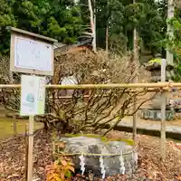 土津神社|こどもと出世の神さまのその他建物