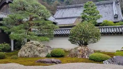 南禅寺の庭園