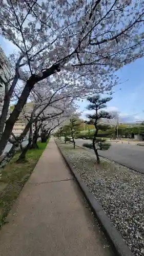 愛媛縣護國神社(愛媛県)
