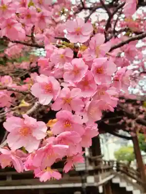 新宿下落合氷川神社(東京都)