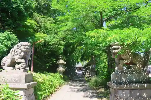 神炊館神社 ⁂奥州須賀川総鎮守⁂の狛犬