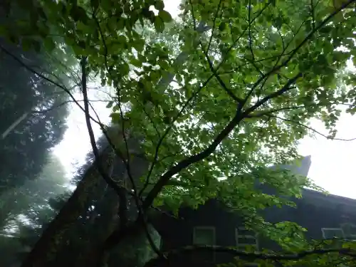 戸隠神社火之御子社(長野県)