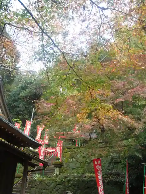 佐助稲荷神社の自然