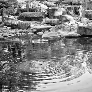 諫早神社(九州総守護 四面宮)(長崎県)(2024年10月16日(水) 23時32分14秒投稿)