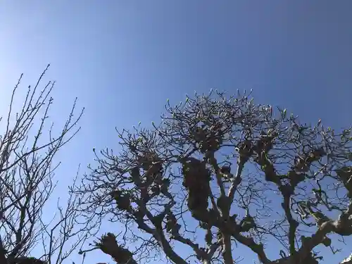 妙経寺(神奈川県)