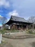般若寺 ❁コスモス寺❁(奈良県)