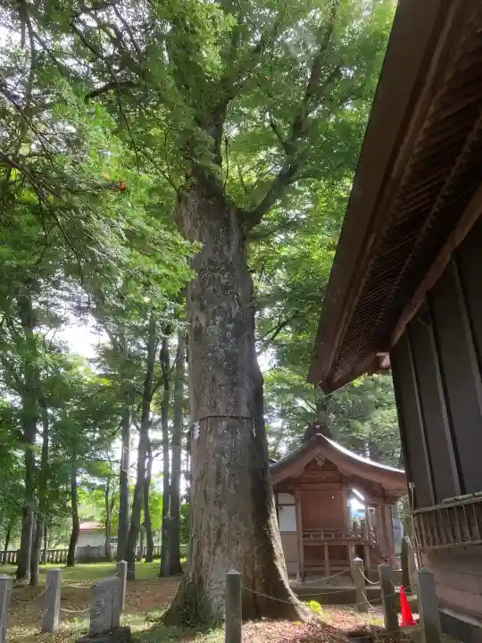 淺間神社(忍野八海)(山梨県)