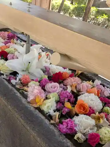 鳩森八幡神社(東京都)