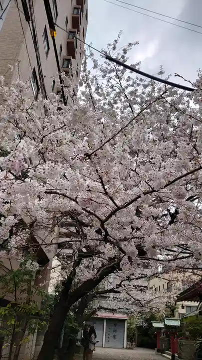 秋葉神社の自然