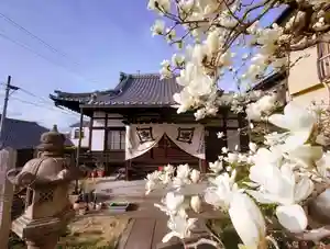 成等山 心證寺の本殿・本堂(2022年04月21日(木) 20時32分58秒投稿)