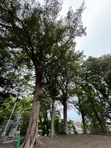 玉前神社(千葉県)